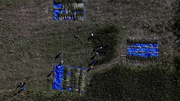 Kenevir katma değerli ürünlere dönüşecek