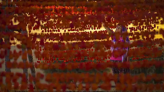 GTB fotoğraf yarışmalarında final için geri sayım başladı