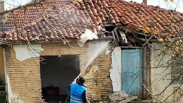 Tekkeköy'de kokarcaya savaş