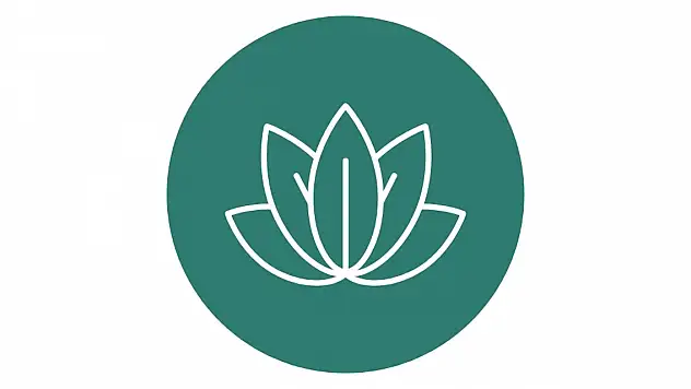 Ankara Psikolog Tavsiye ve Danışmanlık Hizmetleri