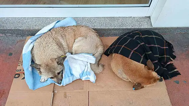 Esnaftan yürek ısıtan hareket