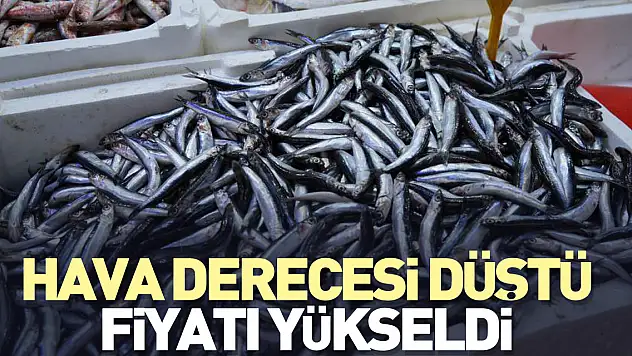 Hava derecesi düştü, fiyatı yükseldi