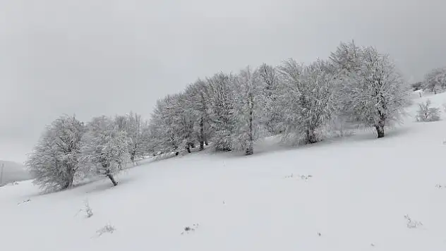 Kocadağ Yaylası beyaza büründü