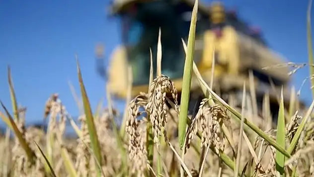 Üçüncü çeyrekte yüzde 4,6 büyüme