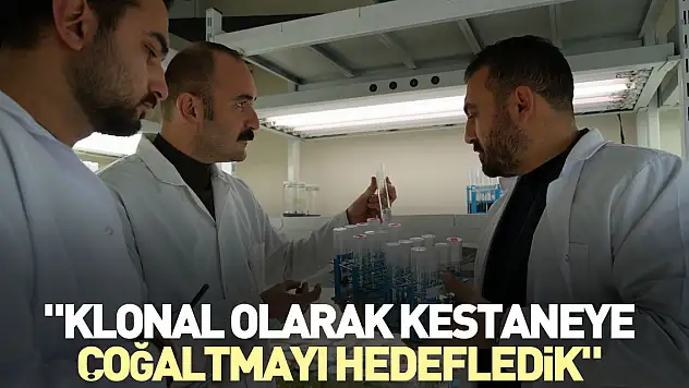 'Klonal olarak kestaneye çoğaltmayı hedefledik'