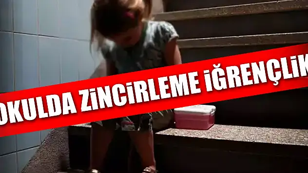 OKULDA ZiNCiRLEME iĞRENÇLiK