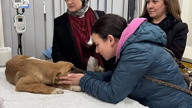 'Büyük bir algımız vardı, bunu kırdılar'