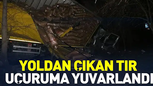 Yoldan çıkan tır uçuruma yuvarlandı
