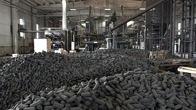 Çayın çöpü de değerlendi