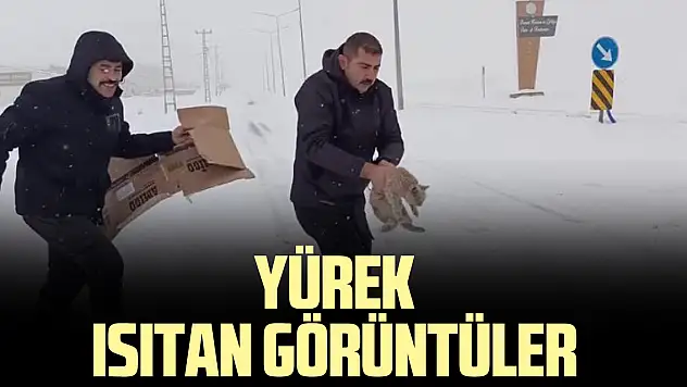 YÜREK ISITAN GÖRÜNTÜLER