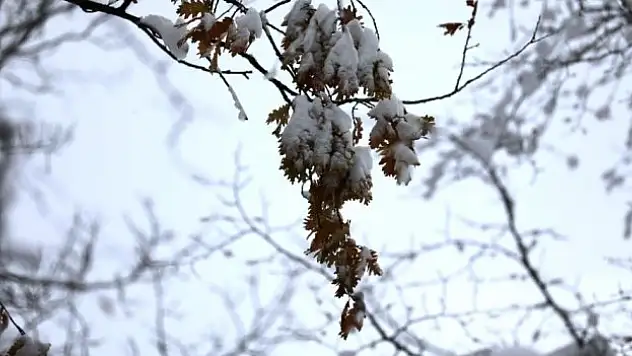 İlçe Merkezlerinde etkili kar yağışı