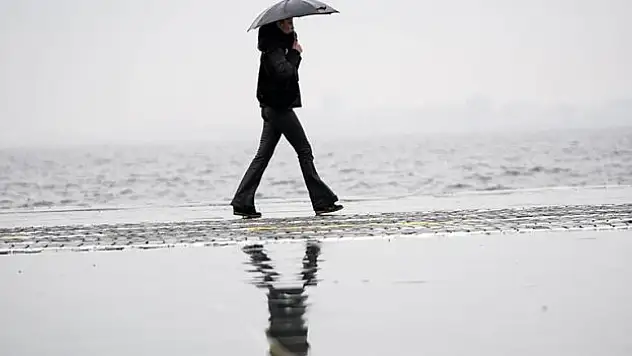 Geçen yıla göre yüzde 50 azaldı