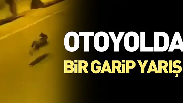 Otoyolda bir garip yarış!
