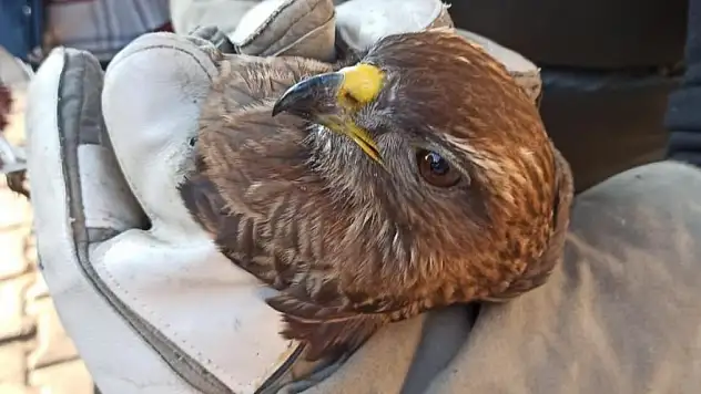 Ava giderken avlandı