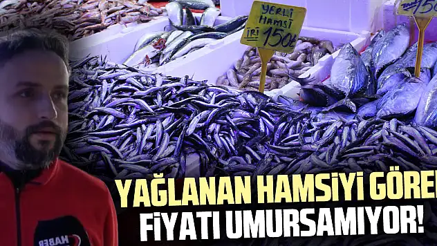 YAĞLANAN HAMSİYİ GÖREN FİYATI UMURSAMIYOR!