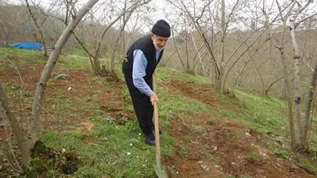 Fındık üreticilerine 'rekolte' uyarısı