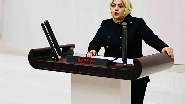 Milletvekili Ün, Pamukkale-Kocadere-Yeniköy projesini Meclis gündemine taşıdı