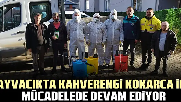 AYVACIKTA KAHVERENGİ KOKARCA İLE MÜCADELEDE DEVAM EDİYOR