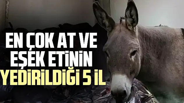 en çok at ve eşek etinin yedirildiği 5 il