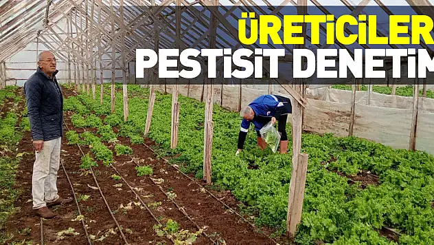 Üreticilere Pestisit Denetimi