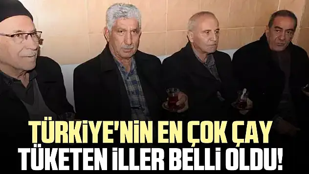 Türkiye'nin en çok çay tüketen illeri belli oldu!