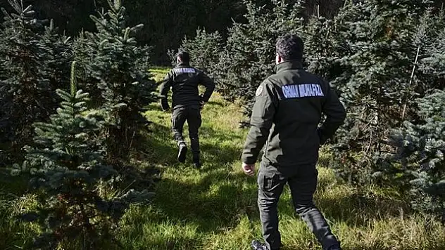 Ekipler 'yılbaşı ağacı' nöbetinde