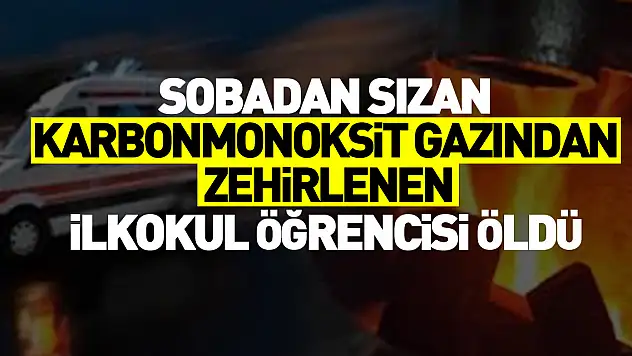 İlkokul öğrencisi karbonmonoksit gazından zehirlendi