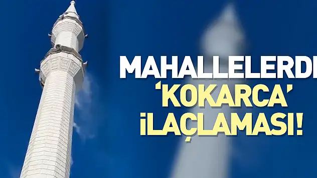 Mahallelerde 'Kokarca' ilaçlaması!