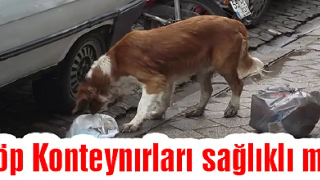Çöp Konteynırları sağlıklı mı?