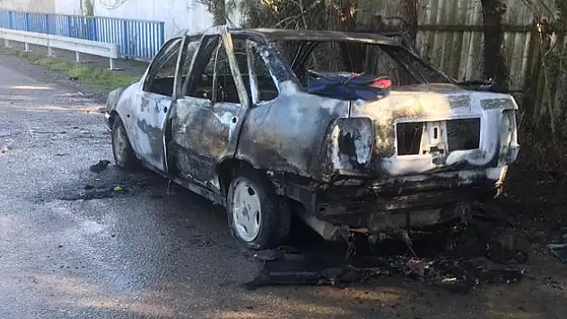 Park ettiği araç alev topuna döndü