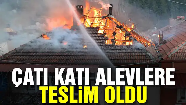 Çatı katı alevlere teslim oldu