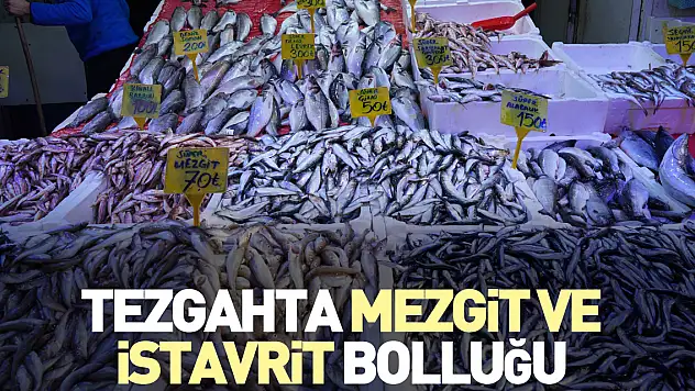 Tezgahta mezgit ve istavrit bolluğu