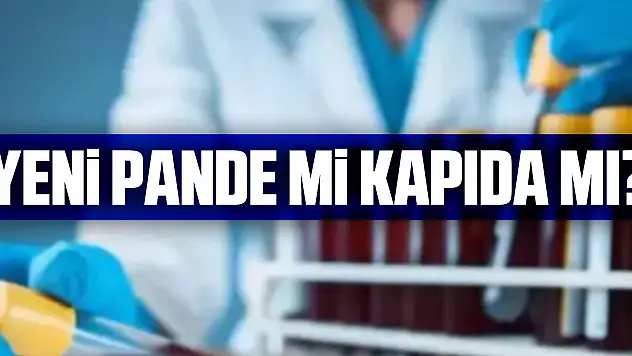 YENi PANDE Mi KAPIDA MI?