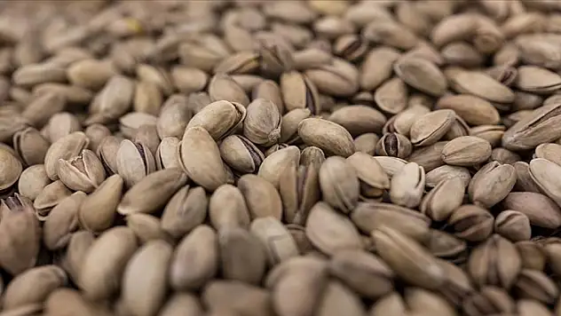 2024 yılında 229 milyon dolarlık fıstık ihracatı!