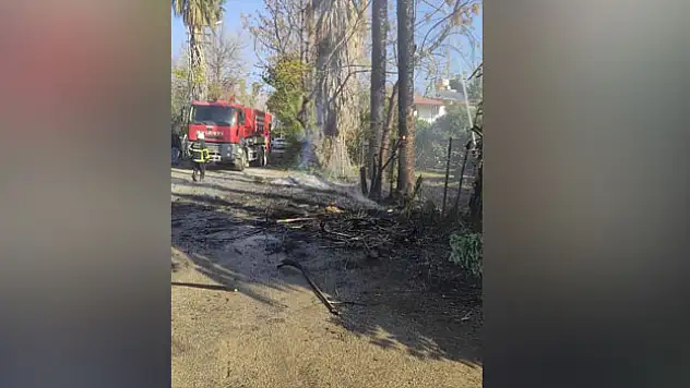 ARSUZ'DA OTLUK YANGINI ÇIKTI