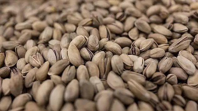 229 milyon dolarlık fıstık ihraç edildi