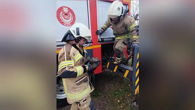 Sansardan korkup ağaca çıktı