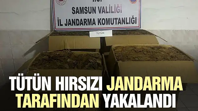 TÜTÜN HIRSIZI YAKALANDI