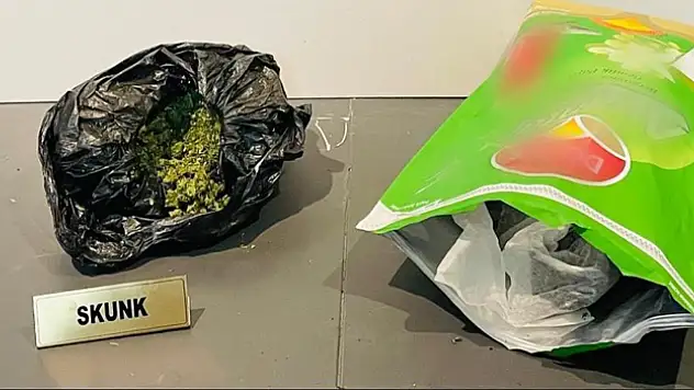 265 gram skunk ele geçirildi