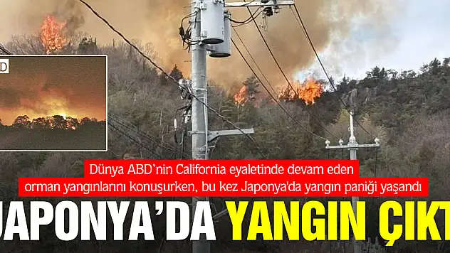 Japonya'da orman yangını