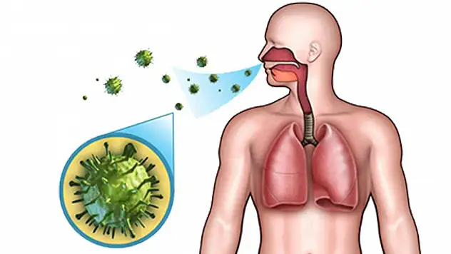 'Geniz eti, tekrarlayan solunum yolu enfeksiyonu sebebi'