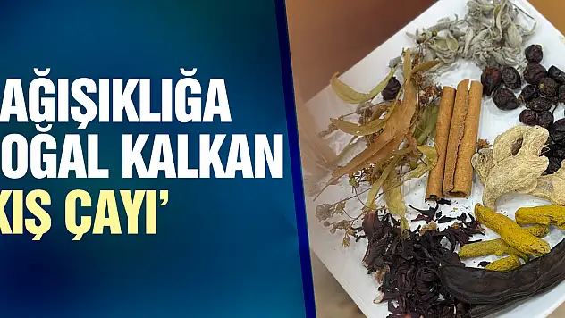 BAĞIŞIKLIĞA DOĞAL KALKAN 'KIŞ ÇAYI'