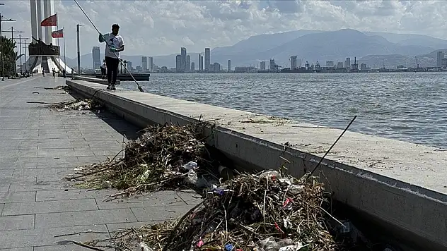 5 yılda 245 bin ton çöp toplandı