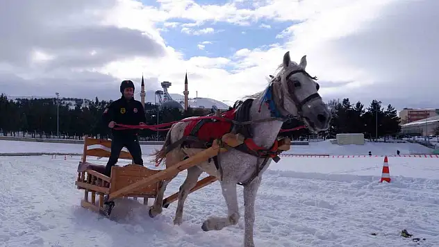Erzurum'da atlı kızak heyecanı