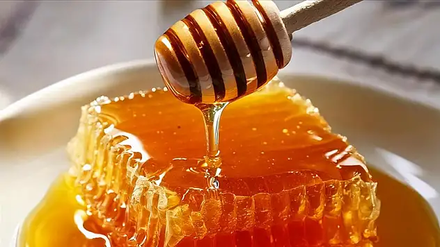 Doğu Karadeniz'den 13 ülkeye bal ihraç edildi