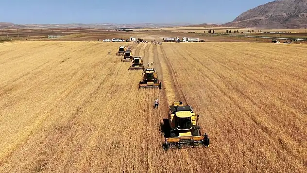 Tarım-GFE yıllık yüzde 32,92 arttı