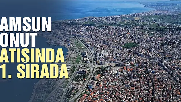 Samsun konut satışında 11. sırada