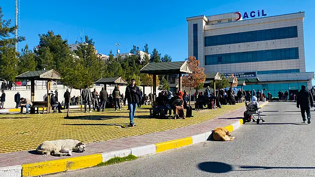 Diyarbakır'da köpek saldırısına uğrayan çocuk kafasından yaralandı