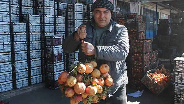 'Zivzik' narı kilosu 30 liradan satılıyor