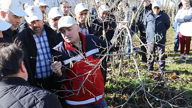 FINDIK BAHÇESİNDE YARIŞ